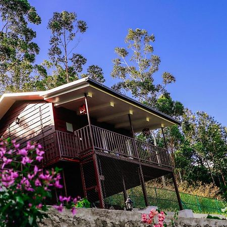 Wild Orchid Eco Tourism Munnar Kültér fotó